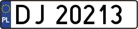 DJ20213