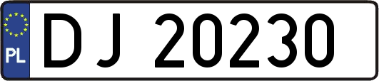DJ20230