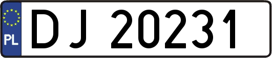 DJ20231