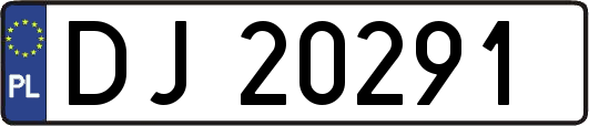 DJ20291