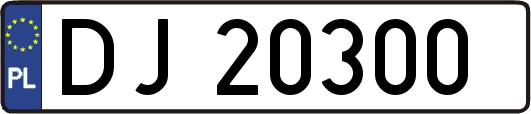 DJ20300