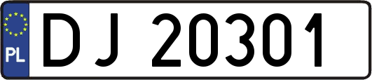 DJ20301