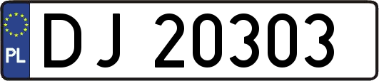 DJ20303
