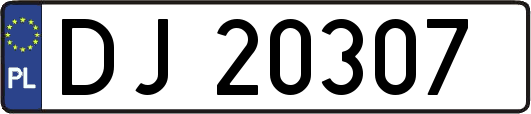 DJ20307