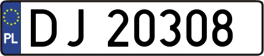 DJ20308