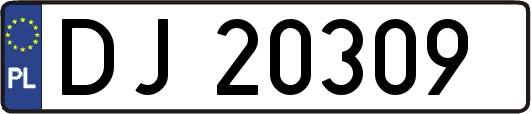 DJ20309