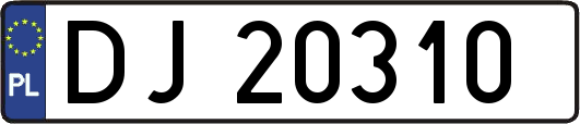 DJ20310
