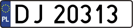 DJ20313