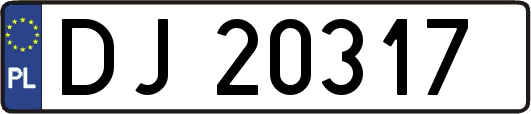 DJ20317