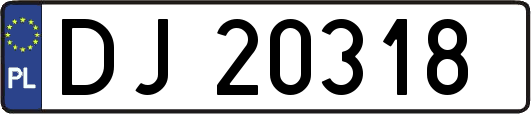 DJ20318