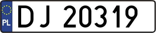 DJ20319