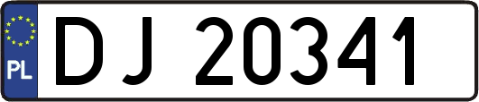 DJ20341