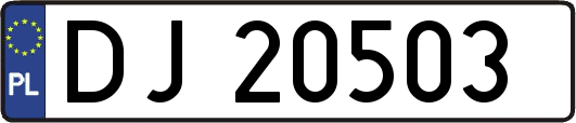DJ20503