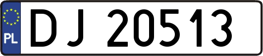 DJ20513