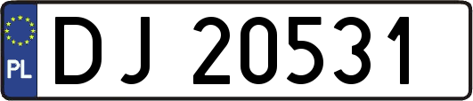 DJ20531