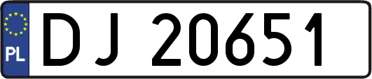 DJ20651