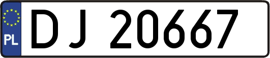 DJ20667