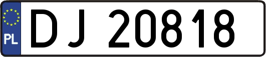 DJ20818