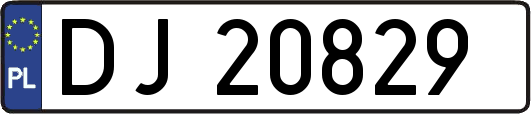 DJ20829
