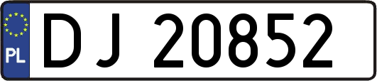 DJ20852