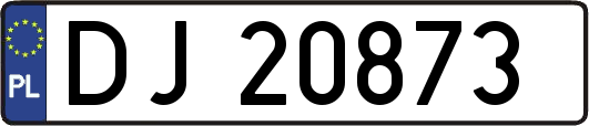 DJ20873
