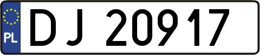DJ20917