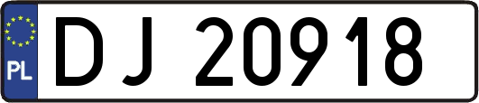 DJ20918