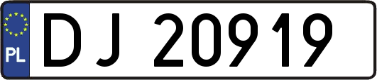 DJ20919