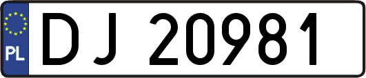 DJ20981
