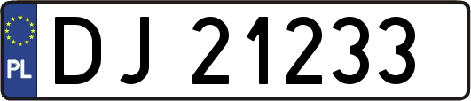 DJ21233