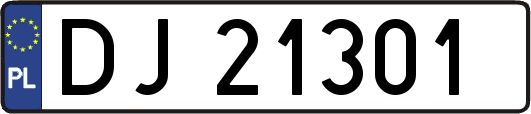 DJ21301