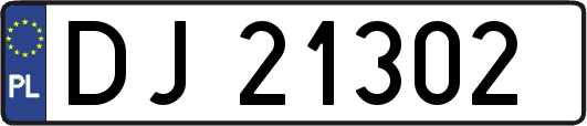 DJ21302