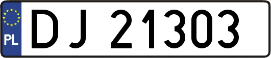 DJ21303