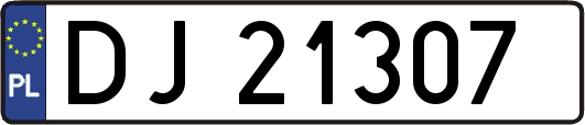 DJ21307