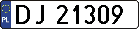 DJ21309