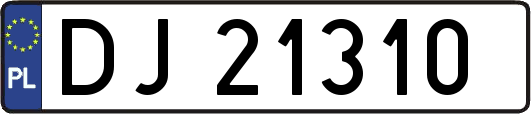 DJ21310