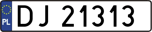 DJ21313