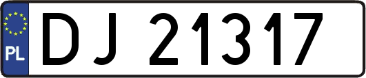 DJ21317