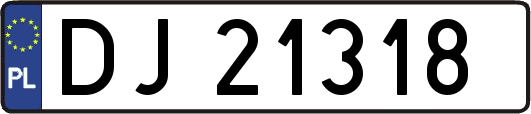 DJ21318