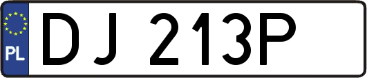 DJ213P