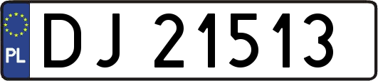DJ21513