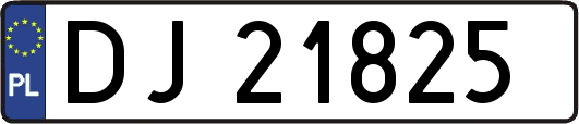 DJ21825