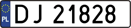 DJ21828