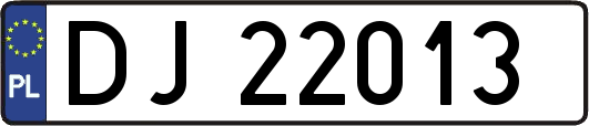 DJ22013