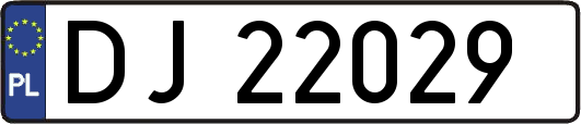 DJ22029