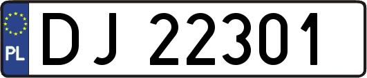 DJ22301