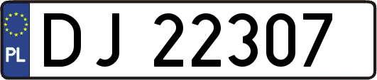 DJ22307