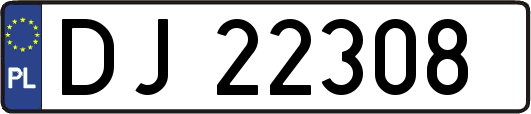 DJ22308