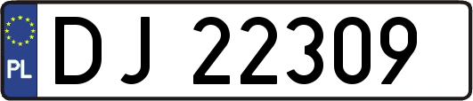 DJ22309