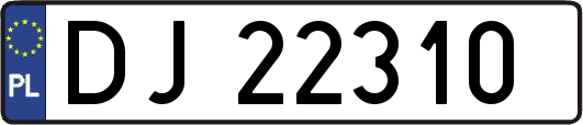 DJ22310